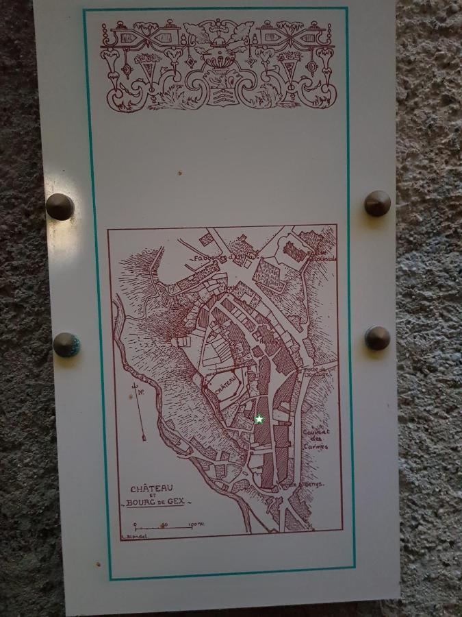 Hebergeneve : Aux Pieds Du Chateau Gex Exterior foto